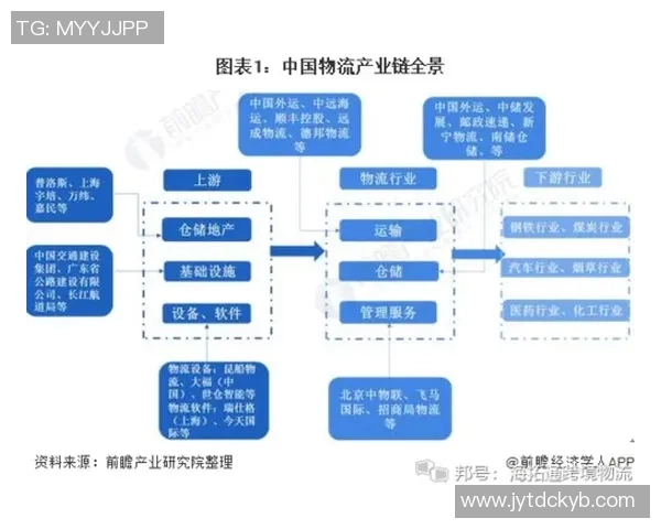 竞技体育领域全面发展现状与未来趋势探讨